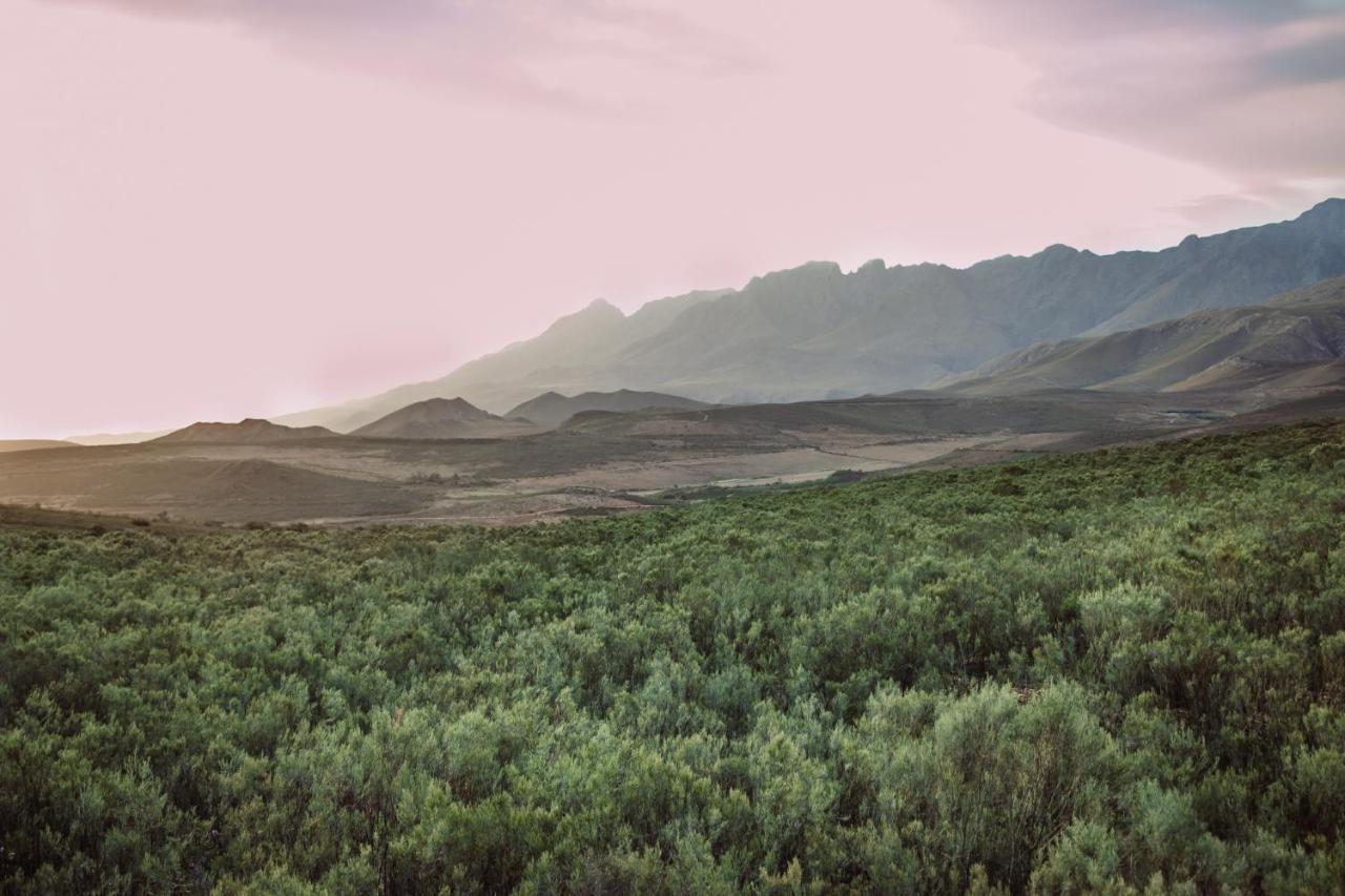 Wildehondekloof Game Lodge Matjiesrivier  Luaran gambar